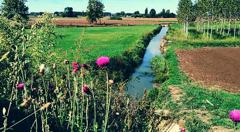 Parco regionale Oglio Sud